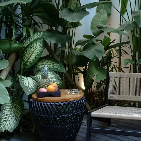 Sunny Cuddles Villa Canggu  Bagian luar foto